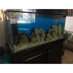 90+ Gallon Drilled Fish Tank And Wet/dry Sump 