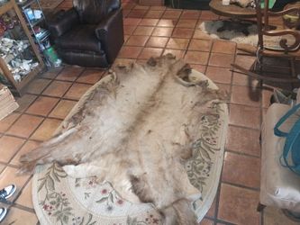 Elk Skin 