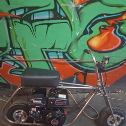 Minibike