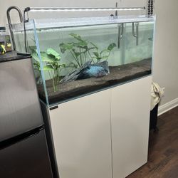 Fish Tank 50 Gallon 