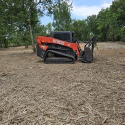 Skid Steer/trabajo 