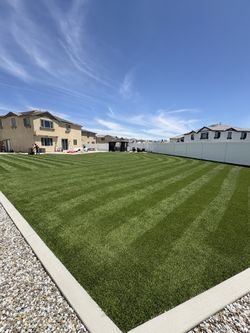 TURF CLEANING