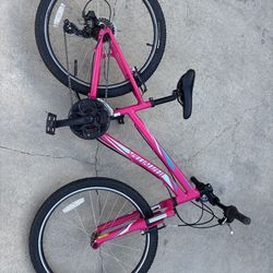 24 inch Specialized Hotrock