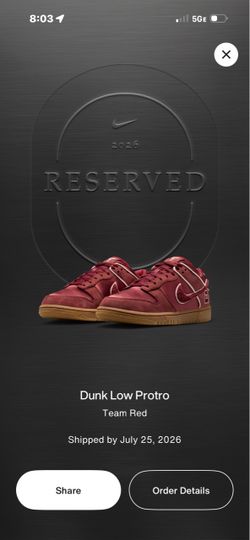 Nike Sb dunk Kobe low protro 10.5