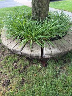 Landscaping Bricks