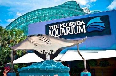🌊 Dive Into Wonder at The Florida Aquarium!