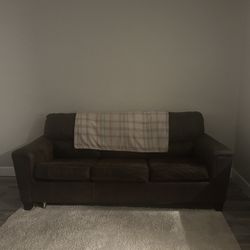 Pull Out Bed And Couch 