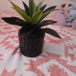 Artificial Plant