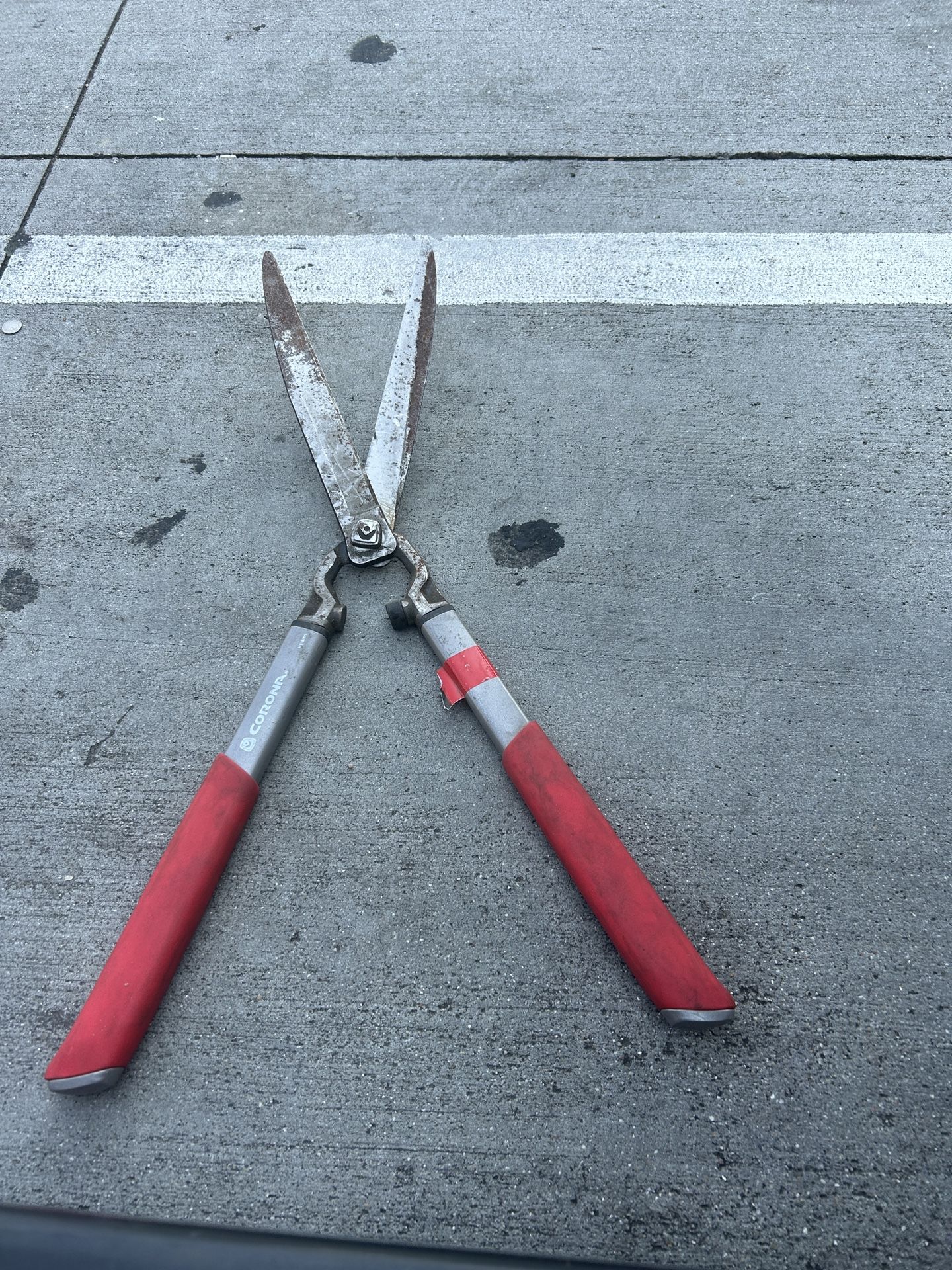 Garden Scissors