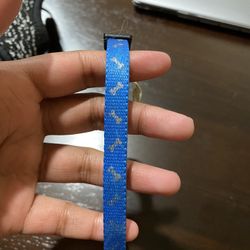 Dog Collar