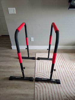 Parallel Workout Bars