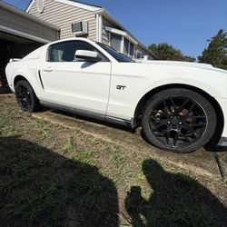 2010 Ford Mustang