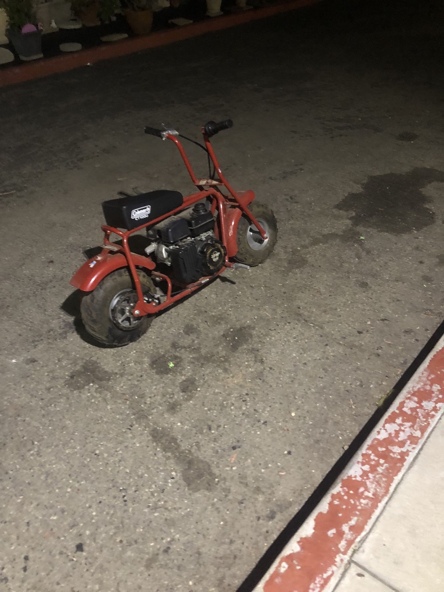 Mini Bike