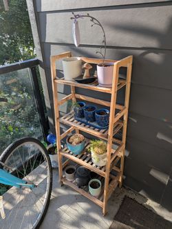 Free Plants and Gardening Items