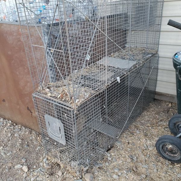 Large Live Traps (Coyote, Dogs Ect) for Sale in Laveen Village, AZ