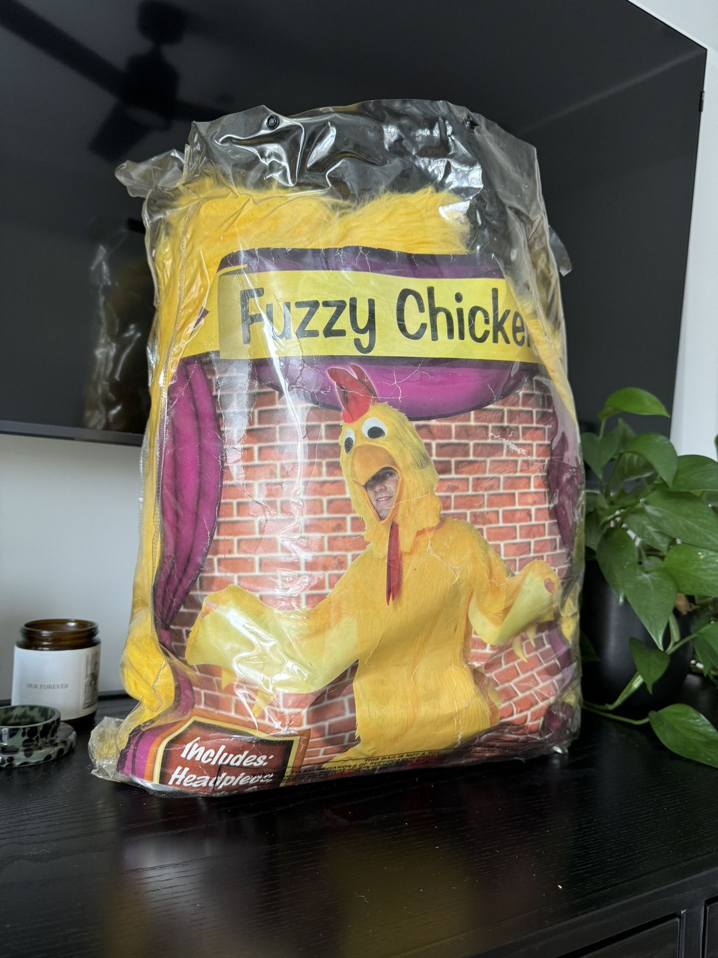 Halloween Costumes - Make An Offer!