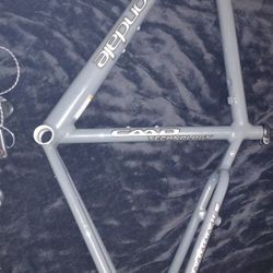 Cannondale Team Bike Frame