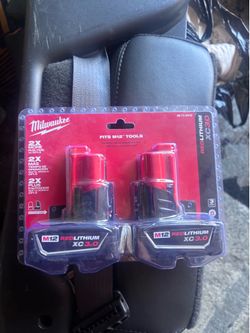 Milwaukee M 12 battery set