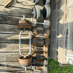 Weights And Barbells 