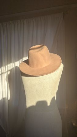 Pink Wool Madewell Hat  