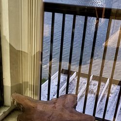 unique Tree coffee table