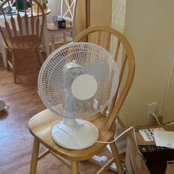 Portal Fan White 