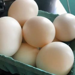 fresh eggs del rancho 