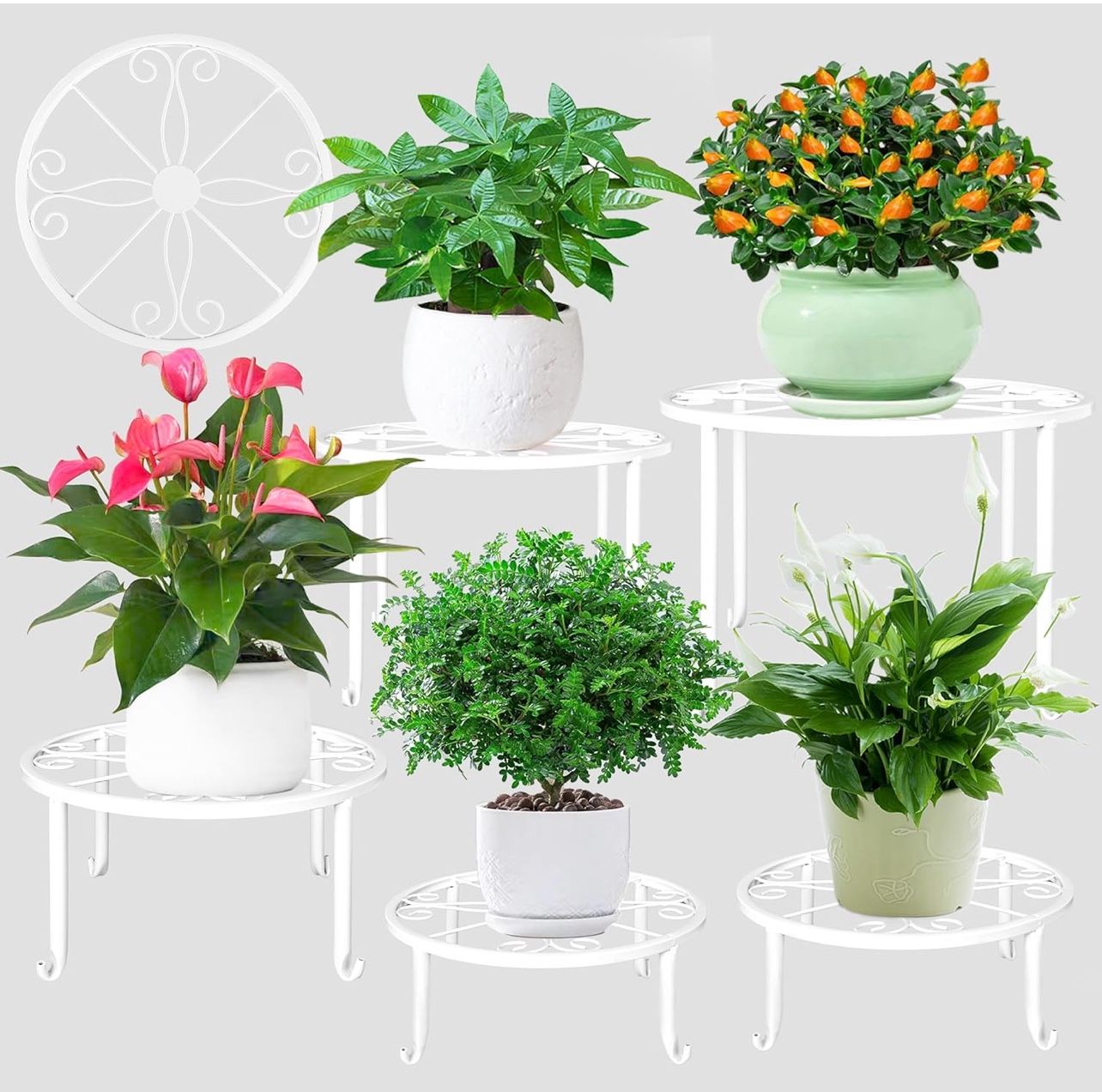 Plant Stands 5 Pack