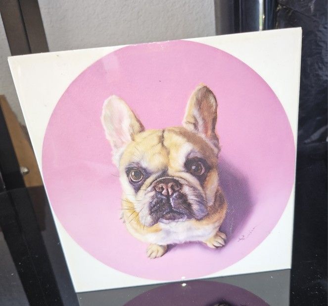 Small Dog Frame