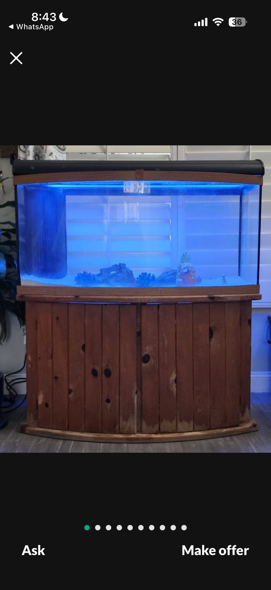 Spectacular Salt Water Aquarium 60 Gallon