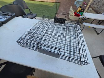 Live Animal trap