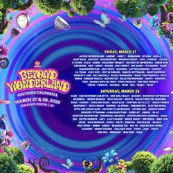 BEYOND WONDERLAND WRISTBAND