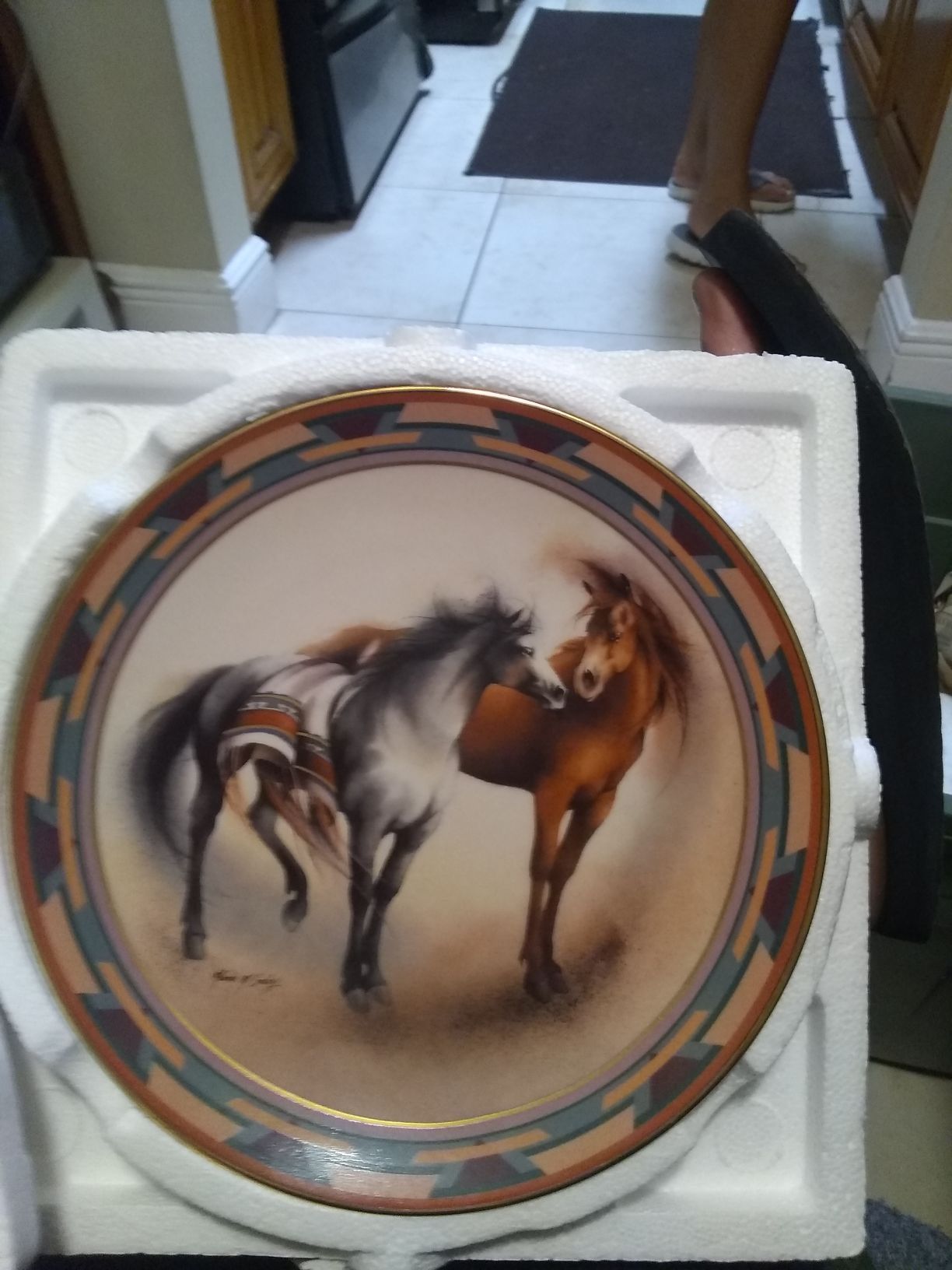 Bradford Exchange Desert Rhythms Horse Plate - Collector’s Item