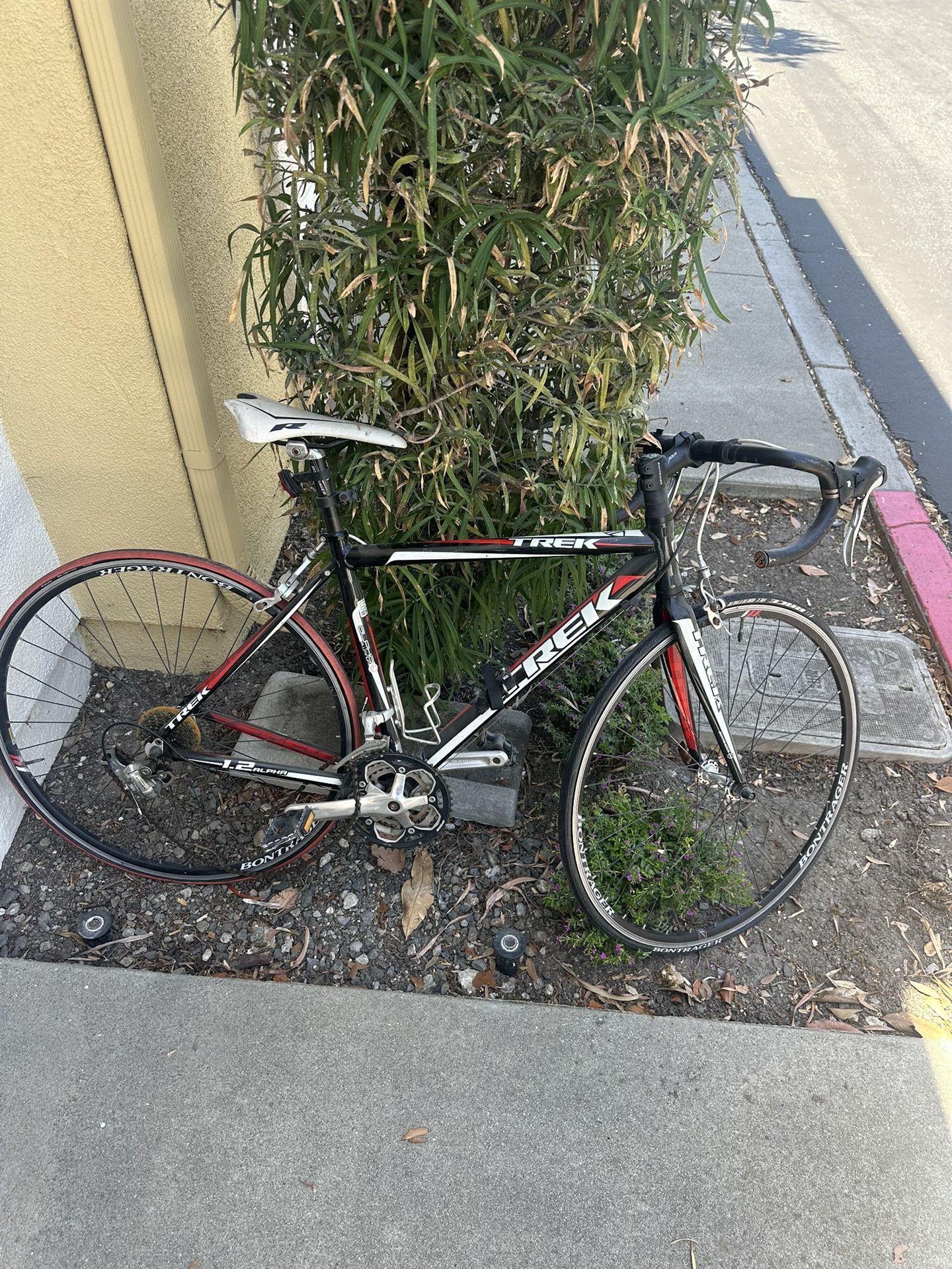 Trek Road Bike