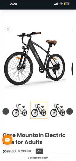 Electric Bike