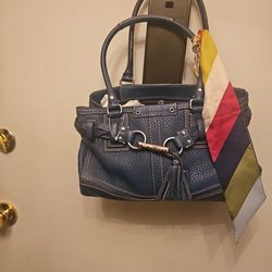 Blue hampton coach mint pet smk free