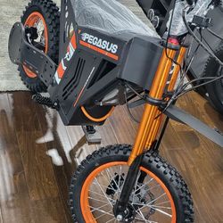 Electric dirt bike 