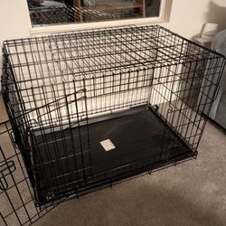 Dog Kennel Crate Training 