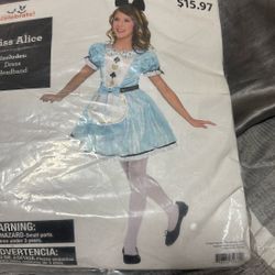 Miss Alice Costume