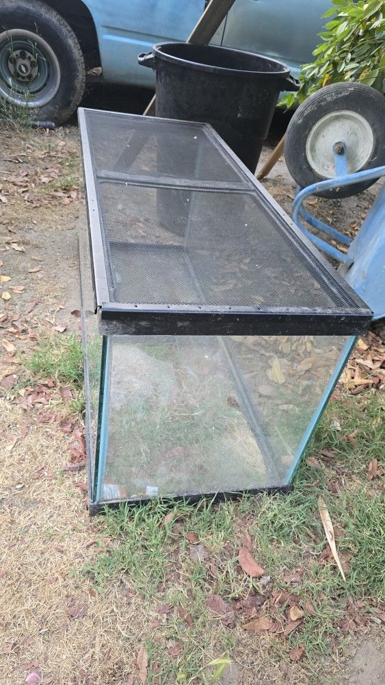 Terrarium