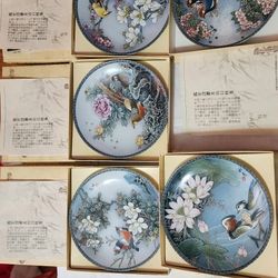 Collector Plates