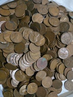 19lbs. Wheat Pennies
