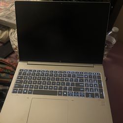 Hp ProBook 460 G11 and wireless Logitech mouse