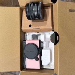 LUMIX S9, Body And Lens, Sakura Colored