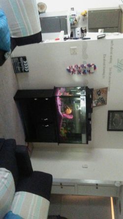 Fish tank