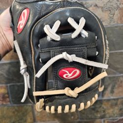 Rawlings Gold Glove  Ready To Use