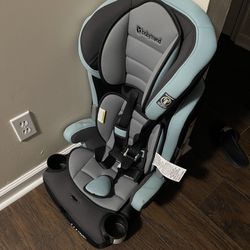 Lightly Used Booster Seat