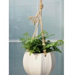 Hanging Planter Pottery 8" Mylia Ceramic, White, New in Box