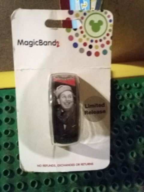 WdW Magic Band