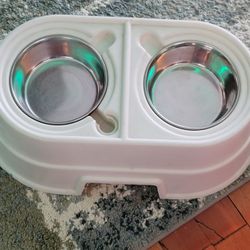 Dog Dish Medium Or Large Dog